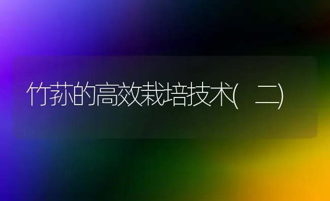 竹荪的高效栽培技术(二) | 养殖技术大全
