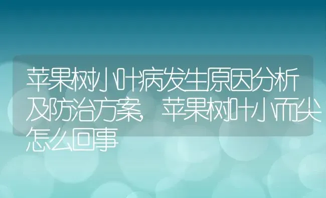 苹果树小叶病发生原因分析及防治方案,苹果树叶小而尖怎么回事 | 养殖学堂