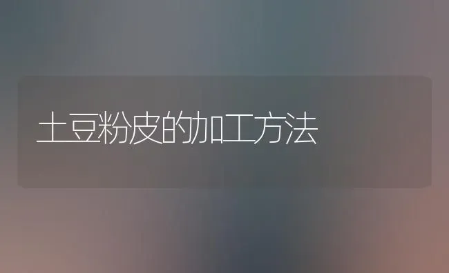 土豆粉皮的加工方法 | 养殖知识