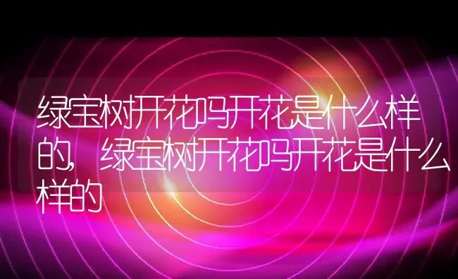 绿宝树开花吗开花是什么样的,绿宝树开花吗开花是什么样的 | 养殖科普