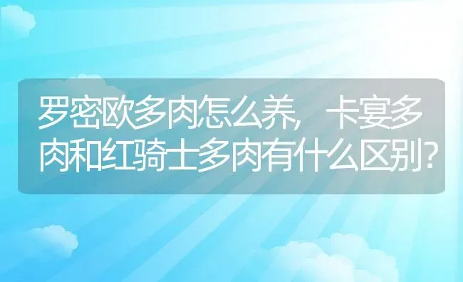 罗密欧多肉怎么养,卡宴多肉和红骑士多肉有什么区别？ | 养殖科普