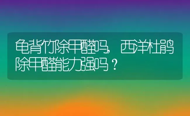 龟背竹除甲醛吗,西洋杜鹃除甲醛能力强吗？ | 养殖科普