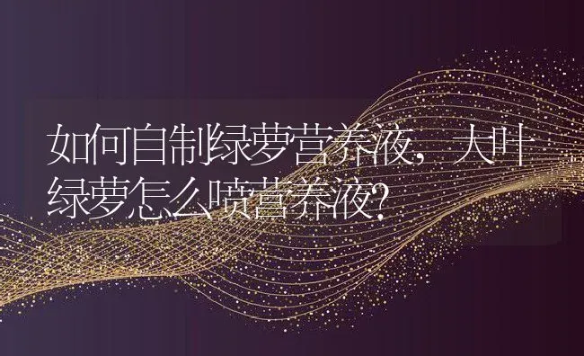 如何自制绿萝营养液,大叶绿萝怎么喷营养液？ | 养殖科普