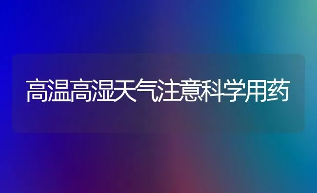 高温高湿天气注意科学用药 | 养殖知识