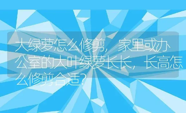 大绿萝怎么修剪,家里或办公室的大叶绿萝长长，长高怎么修剪合适？ | 养殖科普