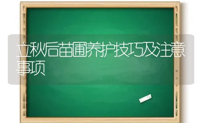 立秋后苗圃养护技巧及注意事项 | 养殖技术大全