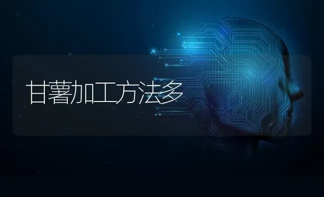 甘薯加工方法多 | 养殖技术大全