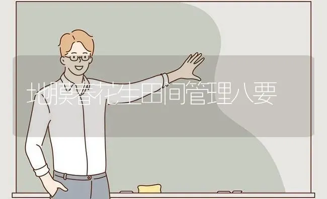 地膜春花生田间管理八要 | 养殖技术大全
