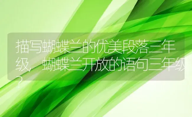 描写蝴蝶兰的优美段落三年级,蝴蝶兰开放的语句三年级？ | 养殖学堂