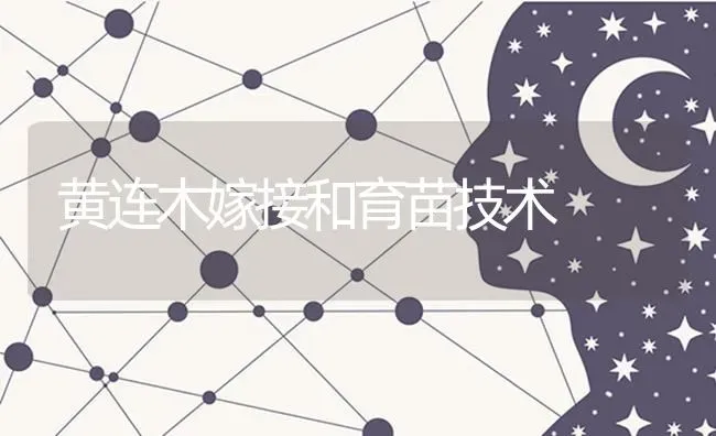 黄连木嫁接和育苗技术 | 养殖知识