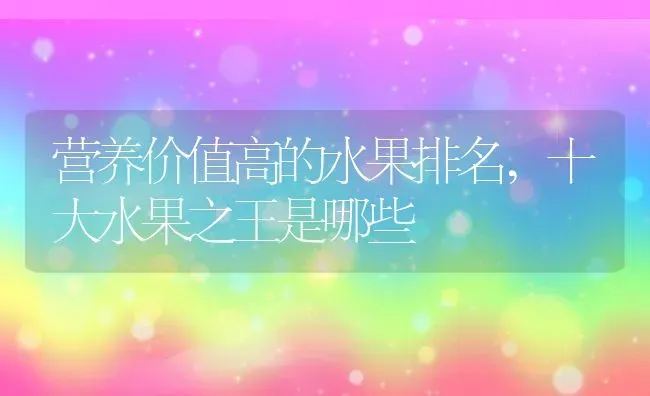 营养价值高的水果排名,十大水果之王是哪些 | 养殖学堂