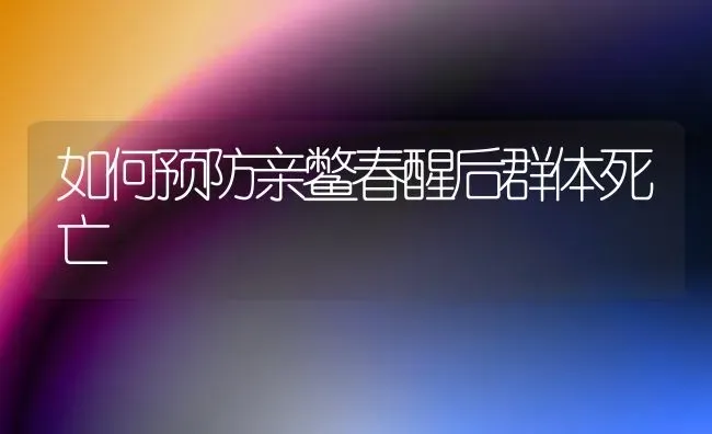 如何预防亲鳖春醒后群体死亡 | 养殖技术大全