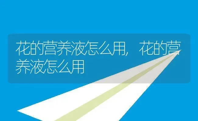 花的营养液怎么用,花的营养液怎么用 | 养殖科普