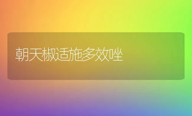 朝天椒适施多效唑 | 养殖知识