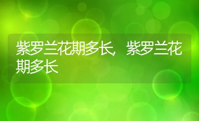 空心泡和树莓的区别,树莓是桑葚吗？ | 养殖科普