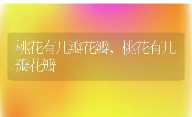 桃花有几瓣花瓣,桃花有几瓣花瓣 | 养殖科普