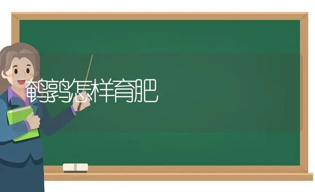 鹌鹑怎样育肥 | 养殖技术大全