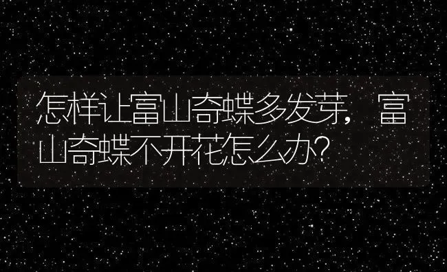 怎样让富山奇蝶多发芽,富山奇蝶不开花怎么办？ | 养殖科普
