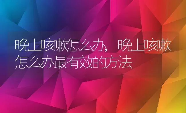 晚上咳嗽怎么办,晚上咳嗽怎么办最有效的方法 | 养殖资料