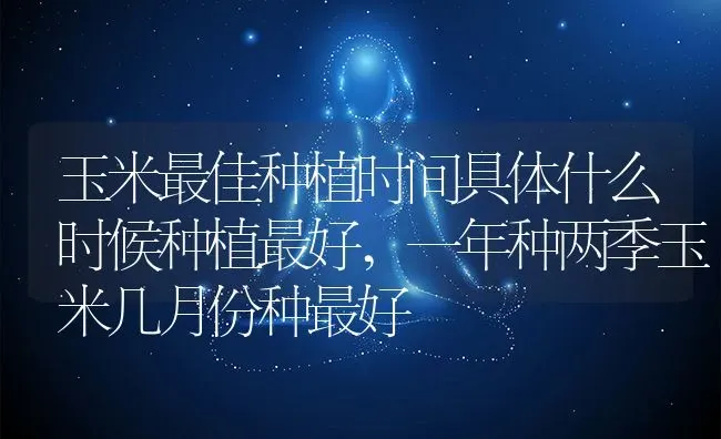 玉米最佳种植时间具体什么时候种植最好,一年种两季玉米几月份种最好 | 养殖科普