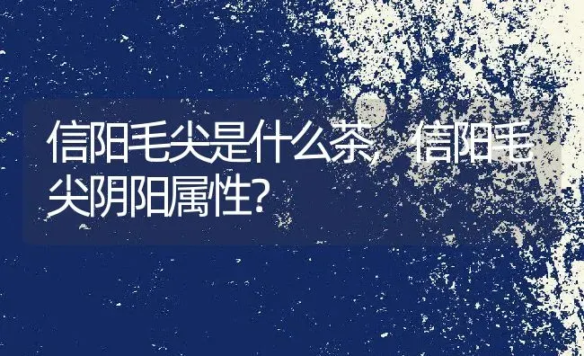 信阳毛尖是什么茶,信阳毛尖阴阳属性？ | 养殖科普