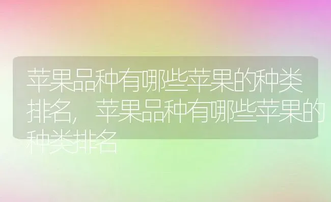 苹果品种有哪些苹果的种类排名,苹果品种有哪些苹果的种类排名 | 养殖科普