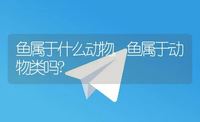 鱼属于什么动物,鱼属于动物类吗? | 养殖科普