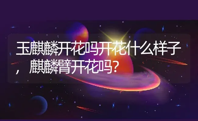 玉麒麟开花吗开花什么样子,麒麟臂开花吗？ | 养殖科普