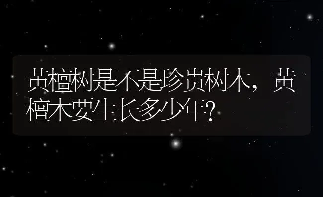 黄檀树是不是珍贵树木,黄檀木要生长多少年？ | 养殖科普