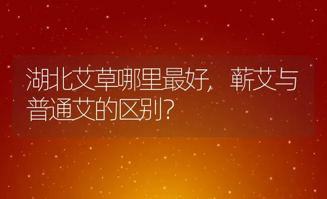 湖北艾草哪里最好,蕲艾与普通艾的区别？ | 养殖科普