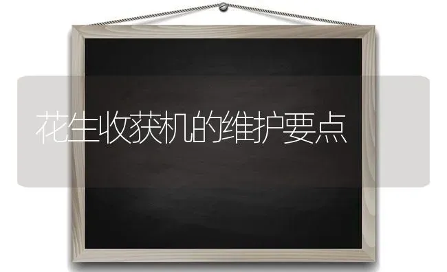 花生收获机的维护要点 | 养殖知识