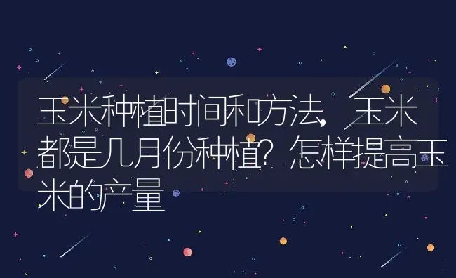 玉米种植时间和方法,玉米都是几月份种植？怎样提高玉米的产量 | 养殖学堂