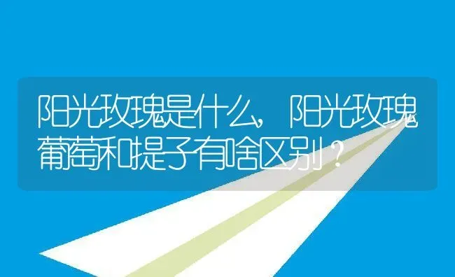 阳光玫瑰是什么,阳光玫瑰葡萄和提子有啥区别？ | 养殖科普