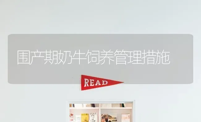 围产期奶牛饲养管理措施 | 养殖技术大全