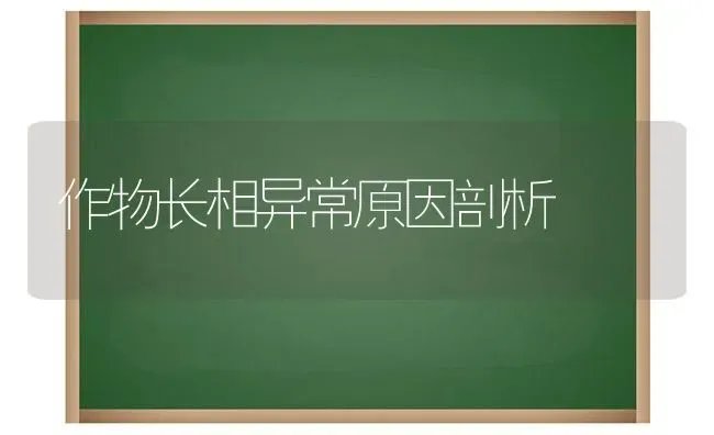 作物长相异常原因剖析 | 养殖技术大全