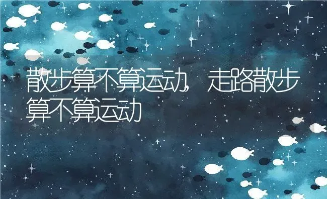 散步算不算运动,走路散步算不算运动 | 养殖科普