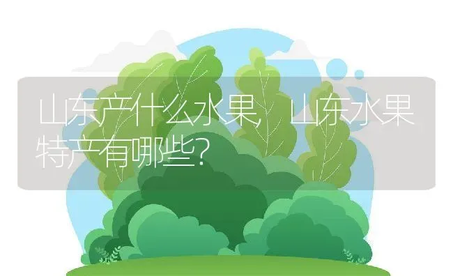 山东产什么水果,山东水果特产有哪些？ | 养殖科普