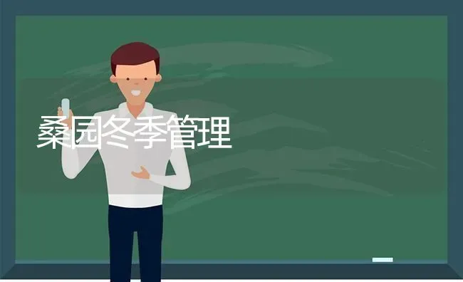 桑园冬季管理 | 养殖知识