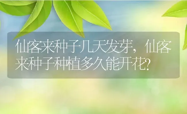 仙客来种子几天发芽,仙客来种子种植多久能开花？ | 养殖科普