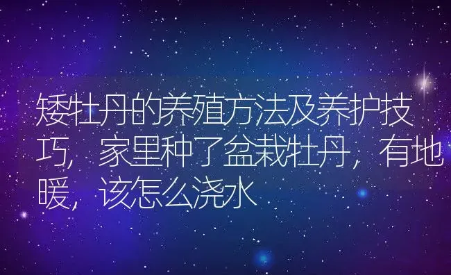 矮牡丹的养殖方法及养护技巧,家里种了盆栽牡丹，有地暖，该怎么浇水 | 养殖学堂