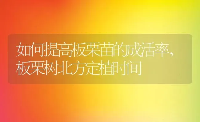 如何提高板栗苗的成活率,板栗树北方定植时间 | 养殖学堂