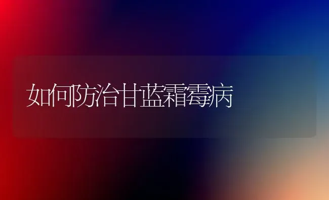 如何防治甘蓝霜霉病 | 养殖知识