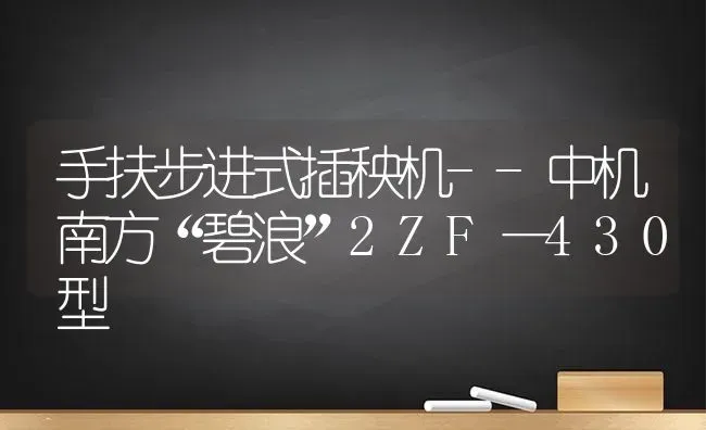 手扶步进式插秧机--中机南方“碧浪”2ZF—430型 | 养殖知识