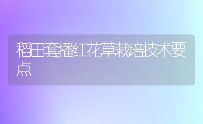 稻田套播红花草栽培技术要点 | 养殖知识