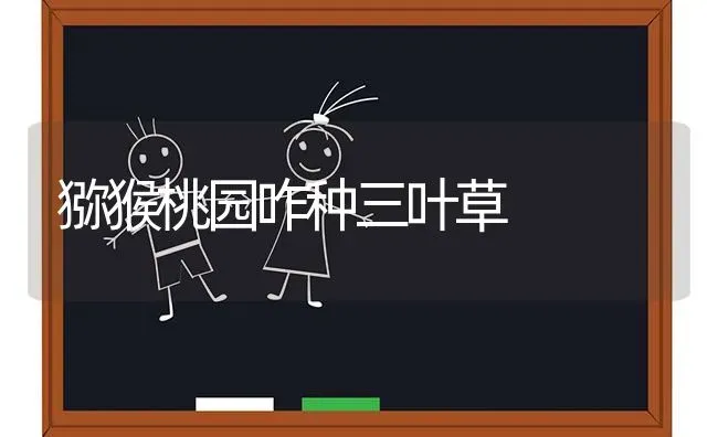 猕猴桃园咋种三叶草 | 养殖技术大全
