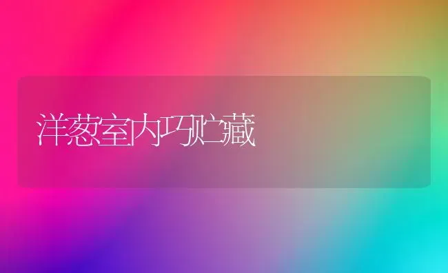 洋葱室内巧贮藏 | 养殖知识