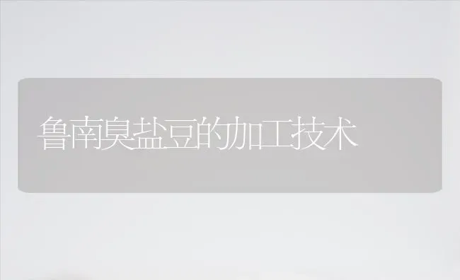 鲁南臭盐豆的加工技术 | 养殖技术大全