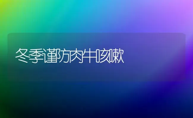 冬季谨防肉牛咳嗽 | 养殖技术大全