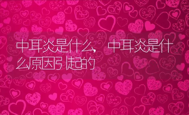 中耳炎是什么,中耳炎是什么原因引起的 | 养殖资料