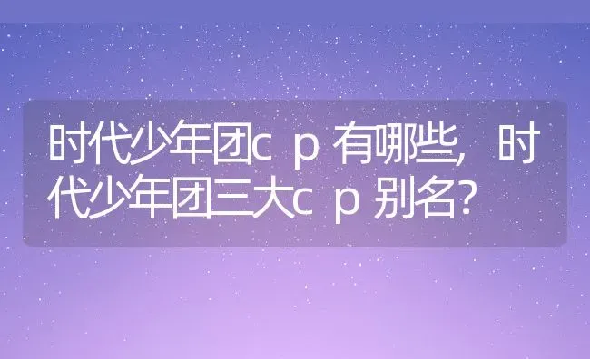 时代少年团cp有哪些,时代少年团三大cp别名？ | 养殖科普